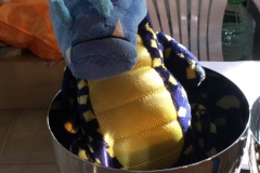 IMG-20190601-WA0018
