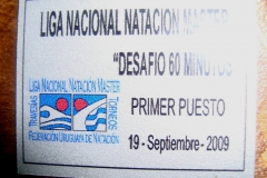 33 plaqueta