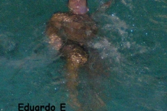 20 espalda Elgue