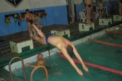 31 D4 mx