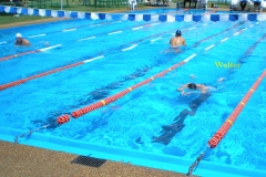 salto2010 011